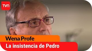 La insistencia de Pedro  Wena Profe  T1E132 [upl. by Liatrice]