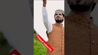 Umair zubair Qadri New Naat 2024  Punjabi Naat Status [upl. by Broddie]