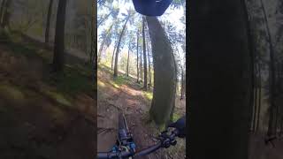 Great MTB Trail [upl. by Nork273]