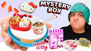 DISASTER OR AMAZING Hello Kitty Mini Food Mystery Box Miniverse Unbox [upl. by Kerrin678]