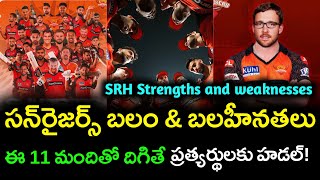 Sunrisers Hyderabad team strength and weakness [upl. by Orin]