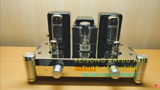 Reisong Bayuu Tube Amplifier a87 [upl. by Litton907]