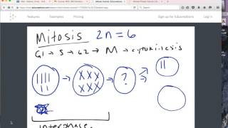 Quick Mitosis tutorial [upl. by Anirec]