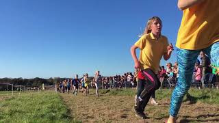 Pembrokeshire Primary Schools Cross Country Championships 2018 Highlights [upl. by Hum]