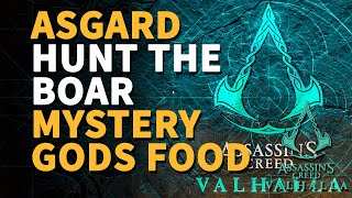 Asgard Hunt the Boar Mystery Food of the Gods Assassins Creed Valhalla [upl. by Akinas]