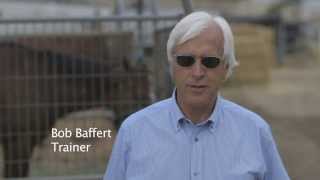 Breeders Cup Moments Bob Baffert [upl. by Lanrev]