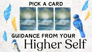 PICK A CARD 🔮 Guidance From Your Higher Self 🌥️ [upl. by Ulyram623]