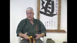 Explanation of Okinawan Karate Belt Colors Black red white and more [upl. by Gnut]