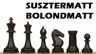 A leggyorsabb sakkjátszmák susztermatt bolondmatt [upl. by Ellekram]