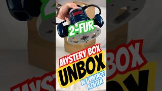 2FUR Mystery Box UNBOX w VINTAGE ROUTER 🔎📦 [upl. by Scheck]