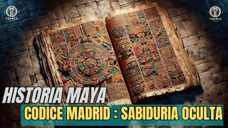 Códice Madrid La Sabiduría Oculta de los Mayas [upl. by Atiuqram625]