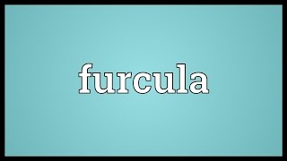 Furcula Meaning [upl. by Neeham576]