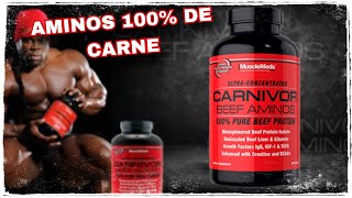 Carnivor Beef Aminos de MuscleMeds  Aminoácidos 100 de carne que promete grandes beneficios [upl. by Iturk]