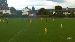 FCO  FC Greifensee 21 [upl. by Jeniffer]