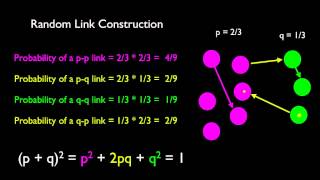 Computing Homophily in an Acquaintance Network [upl. by Wiese918]