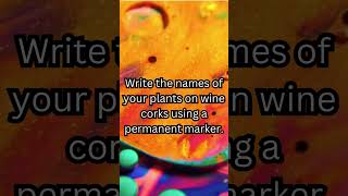 DIY TIPS Wine Cork Planter Marker DIYtips DIY LifeHack productivity hacks DIYHacks [upl. by Eniledam868]