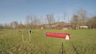 NADAC HoopersAgility Kommando WEG auf Distanz [upl. by Adnalra]