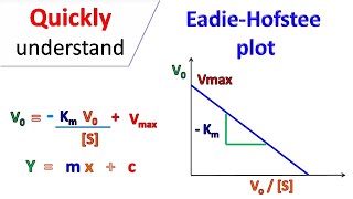 Eadie Hofstee Plot [upl. by Gaut630]