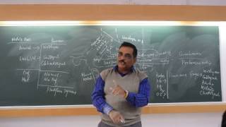 Stratigraphy and Tectonics of Aravalli Part  28 by Prof T K Biswal IIT BOMBAY [upl. by Suivart661]