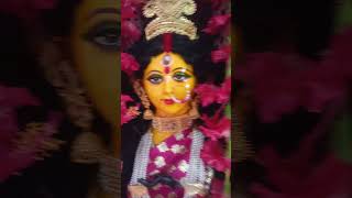 subscribe জয় মা মনসা🌺🌺🌺🌺🌺🌺🌺🌺🌺🌺🌺 [upl. by Aihsenod]