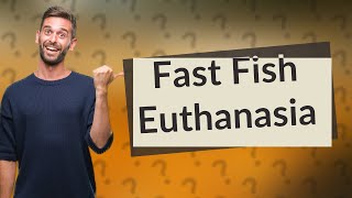 What is the fastest way to euthanize a fish [upl. by Drida]