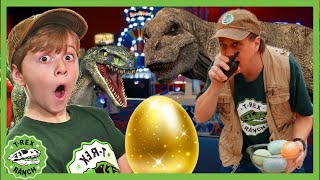 Dinosaur Egg Arcade Adventure  TRex Ranch Dinosaur Videos for Kids [upl. by Ardaid]