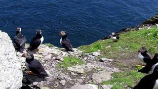 A Journey to Skellig Michael During Puffin Season [upl. by Asa218]