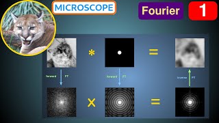 Fourier 1  Perspective and Equations [upl. by Lodovico]