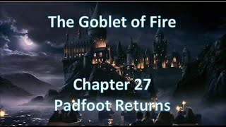 ⚜Harry Potter⚜ Audio in Korean  The Goblet of FireChapter27 Padfoot Returns [upl. by Elspeth488]