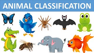 Song About Animal Groups for Children Animal Classification Vertebrates Sing and Learn Science [upl. by Attolrac932]