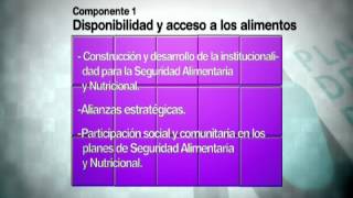 Plan Decenal de Salud Pública Seguridad alimentaria [upl. by Astraea463]