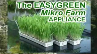 EasyGreen Automatic Sprouter Mikro Farm [upl. by Essilrahc]