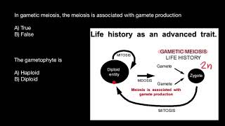 Gametic meiosis  Gametophyte  Sporophyte [upl. by Goeger]