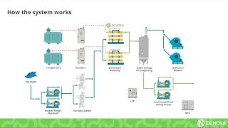 Seawater Electrochlorination Operational Principle [upl. by Ingar]