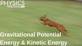 What Are Gravitational Potential Energy and Kinetic Energy  Physics in Motion [upl. by Nealah]