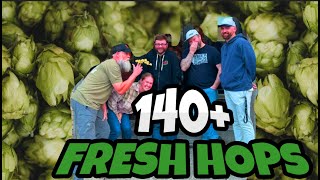 Episode 119  We Tried 140 Fresh Hop Beers [upl. by Olegnaid710]