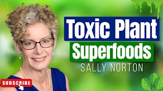 Lectins Have NOTHING On Oxalates  Oxalate Poisoning and Dumping With Sally Norton [upl. by Beyer]