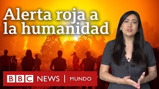 5 revelaciones del informe de la ONU sobre cambio climático y qué dice sobre América Latina [upl. by Kort]