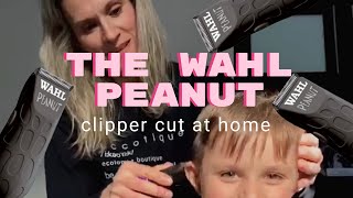 The Wahl Peanut Clipper [upl. by Gilda575]