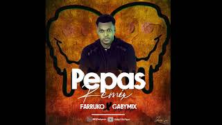 Pepas Remix Farruko x Gabymix Haitian remix [upl. by Anirehs]