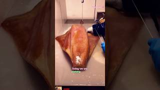 🦑 Giant Squid Skin Peeling Process  ASMR Calamari Prep squid cuttlefish calamar short trending [upl. by Analihp]