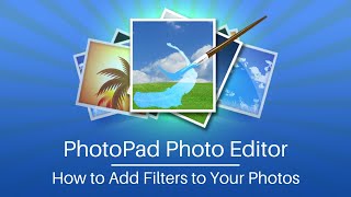 How to Add Filters to Your Photos  PhotoPad Photo Editor Tutorial [upl. by Suoivatnom201]