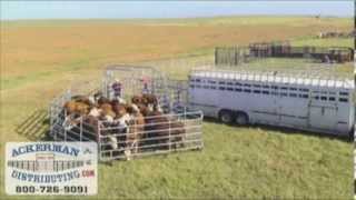 WW Express Portable Cattle Corral [upl. by Shanda]