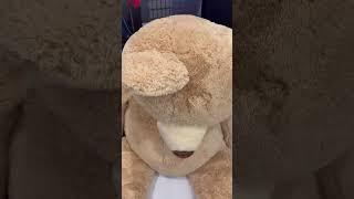 Mom and dad catch giant teddy bear moving by itself then this happens shorts [upl. by Alad]