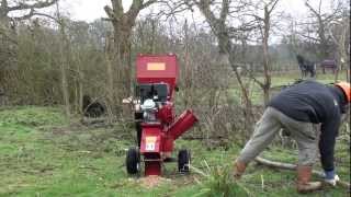 TP 15HP Chipper Shredder NEW from Titan Pro [upl. by Zipah]