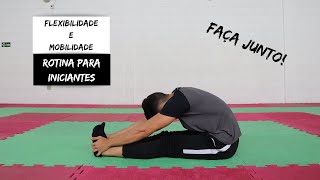 Rotina de Flexibilidade e Mobilidade para Iniciantes FAÃ‡A JUNTO  Alongamentos [upl. by Haeli207]