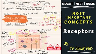 Receptor and their Types  Receptors in Skin  MDCAT  NUMS  NEET  PPSC [upl. by Richarda]