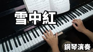 雪中紅 王識賢 鋼琴演奏 piano cover [upl. by Eimoan161]