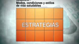 Plan Decenal de Salud PúblicaDimensión 2 Vida saludable [upl. by Yesnik835]