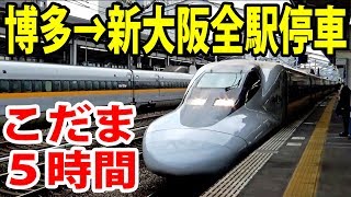 【前半】博多→東京を全部こだま号で乗り通す【1901九州7】博多駅→新大阪駅 11205 [upl. by Younglove]